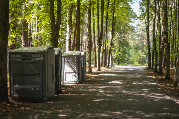 Best Portable toilet rental cost  in Rogersville, AL